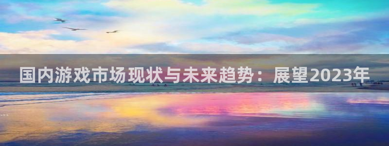 极悦娱乐官方注册登录：国内游戏市场现状与未来趋势：展望202