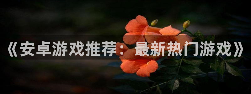 极悦娱乐测速：《安卓游戏推荐：最新热门游戏》
