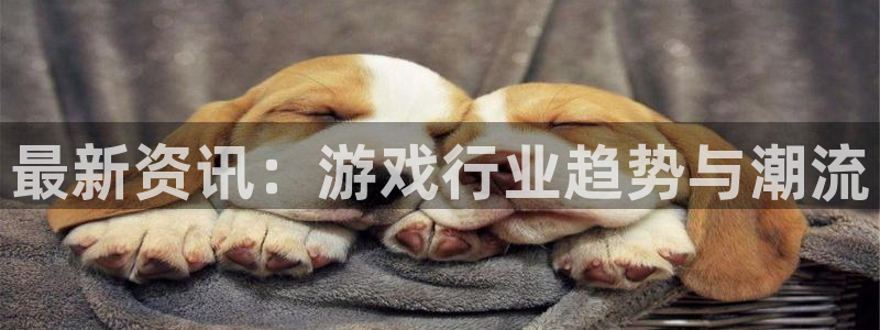 极悦娱乐登陆地址：最新资讯：游戏行业趋势与潮流
