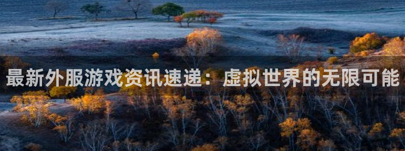 极悦娱乐平台注册资金多少：最新外服游戏资讯速递：虚拟世界的无