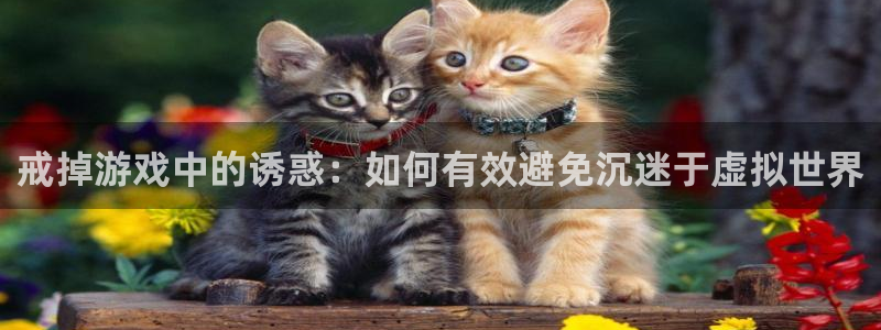 极悦娱乐官方平台：戒掉游戏中的诱惑：如何有效避免沉迷于虚拟世