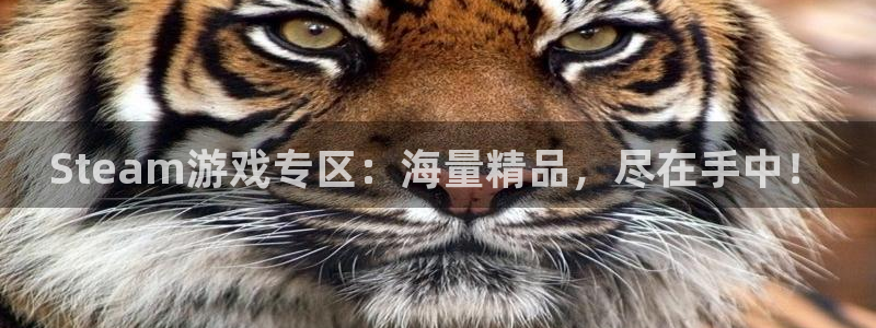 极悦娱乐注册账号：Steam游戏专区：海量精品，尽在手中！