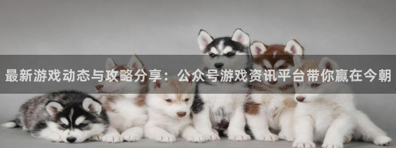 极悦娱乐注册平台：最新游戏动态与攻略分享：公众号游戏资讯平台