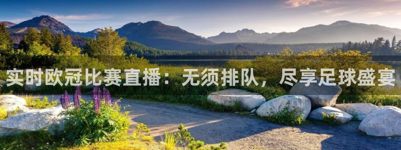 熊猫体育nba：实时欧冠比赛直播：无须排队，尽享足球盛宴