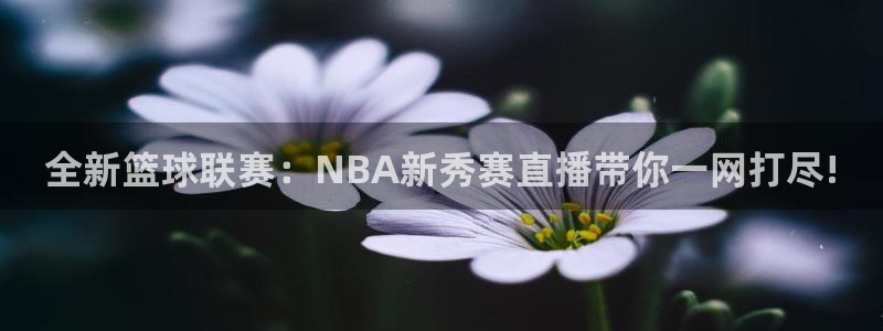 熊猫直播