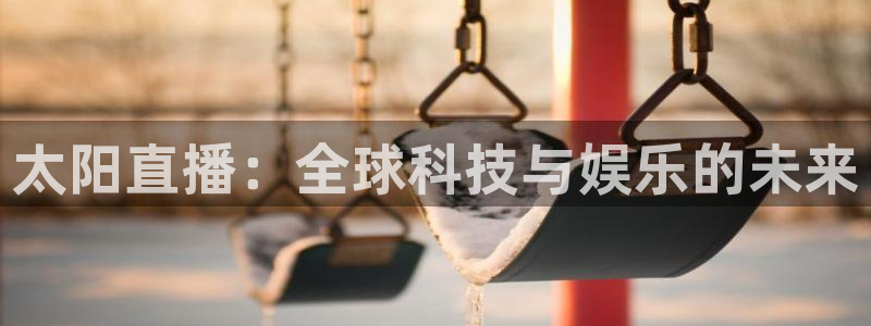 关于熊猫的