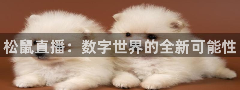 熊猫主播