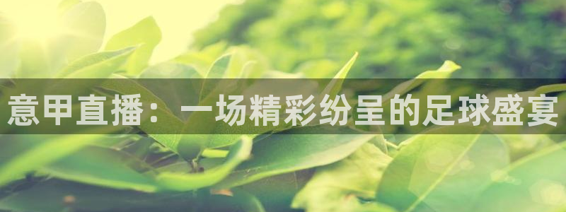 熊猫体育直播下载：意甲直播：一场精彩纷呈的足球盛宴