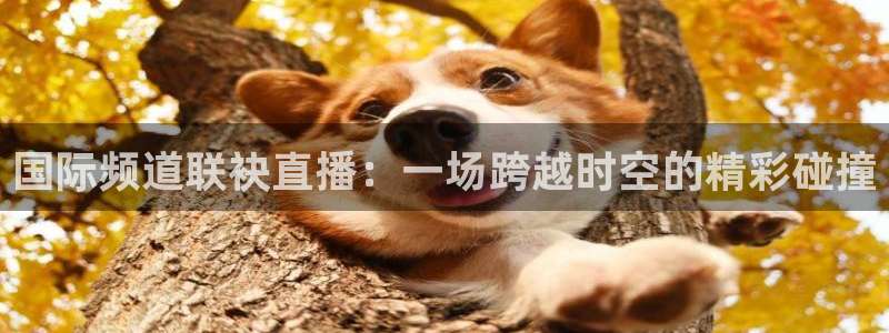 熊猫体育：国际频道联袂直播：一场跨越时空的精彩碰撞