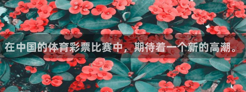 熊猫的歌曲：在中国的体育彩票比赛中，期待着一个新的高潮。